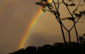 Image Courtesy of Volker Scholz